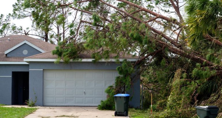 découvrez nos solutions d'assurance habitation adaptées pour vous protéger efficacement contre les dommages causés par les tempêtes. sécurisez votre maison en toute sérénité.