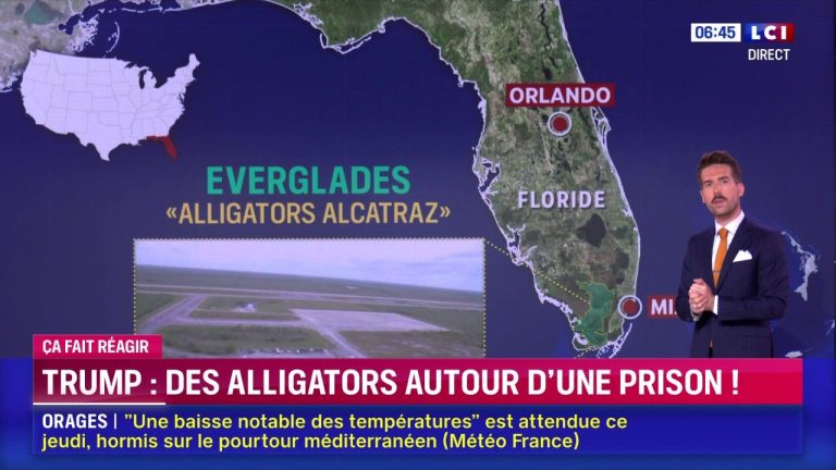 découvrez pourquoi la récupération des assurances en floride peut s'avérer être un véritable mirage et comment éviter les pièges courants.